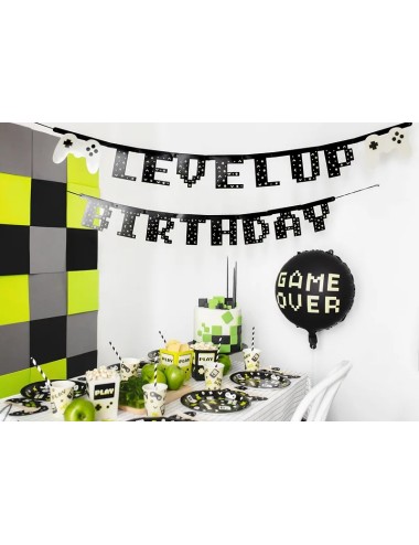 Slinger "Level up Birthday"